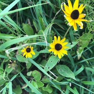 Meet your Posher, Her ben